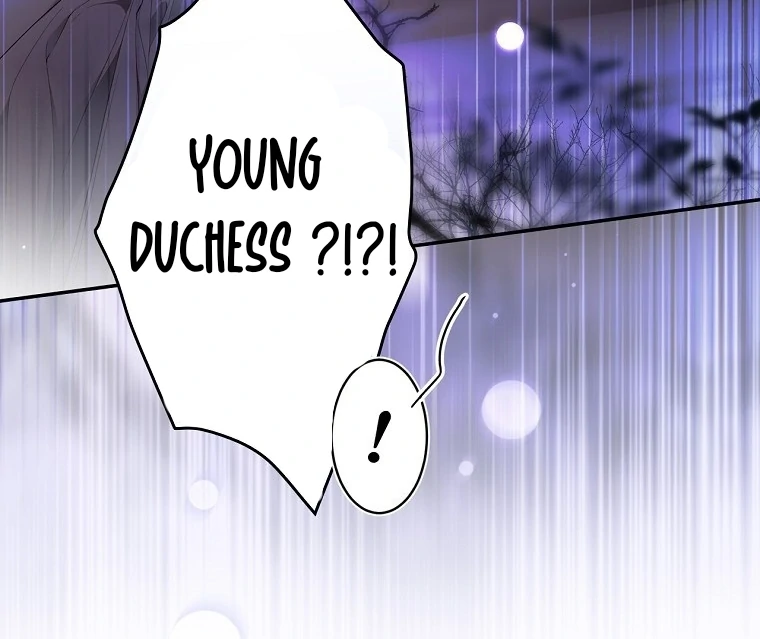 Secret Lady Chapter 117 15